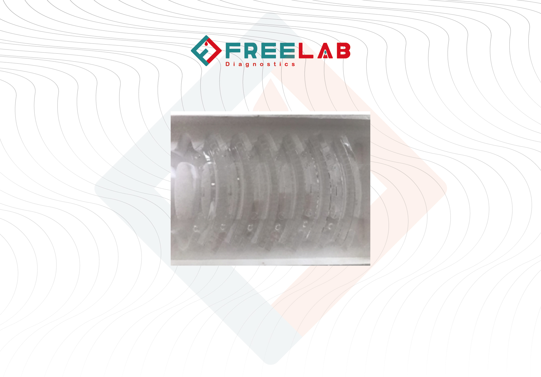 Dirui(China)  cuvettes 120 pc( 6 segments) for Dirui   CS-T240 Chemistry Analyzer